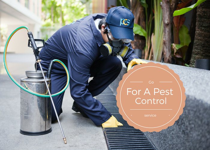 Removing Pests From Your Newly Purchased House